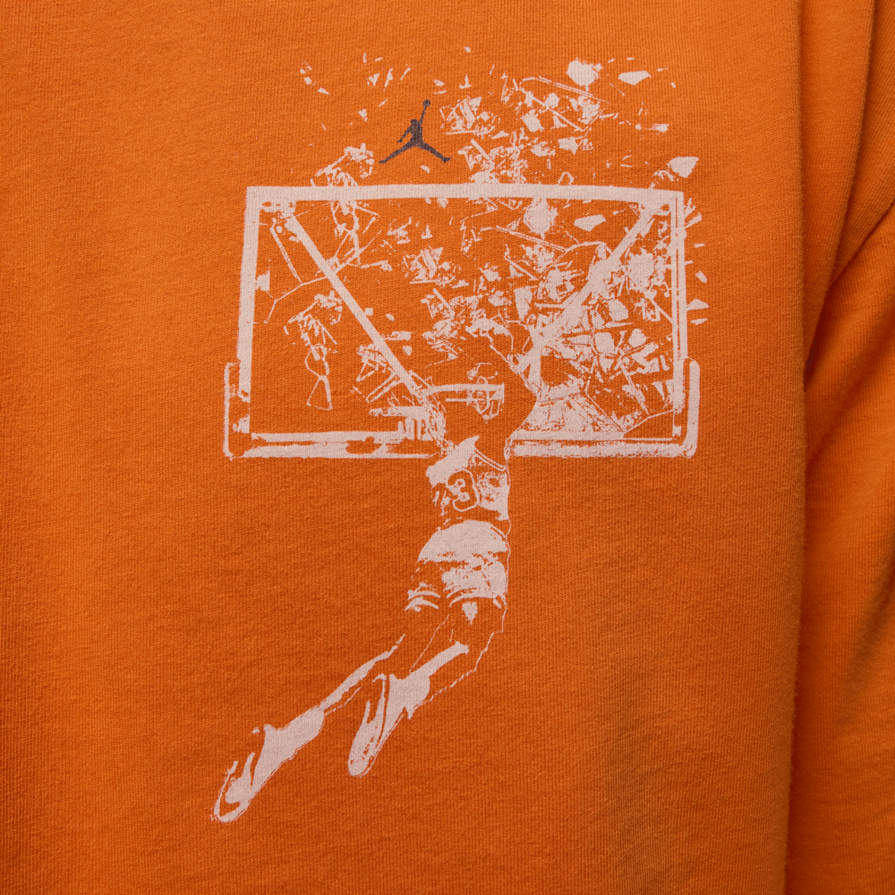 Jordan Brooklyn SBB Oversize GFX Short Sleeve Crew Image 4 of 6. Tap to open photo gallery.