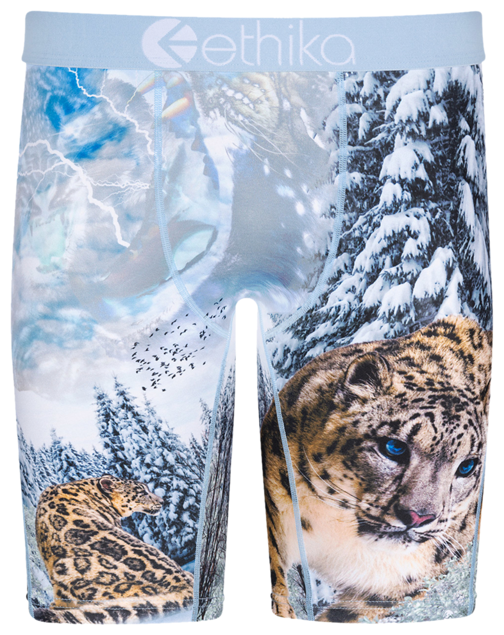 Ethika Graphic Briefs Image 1 of 3. Tap to open photo gallery.