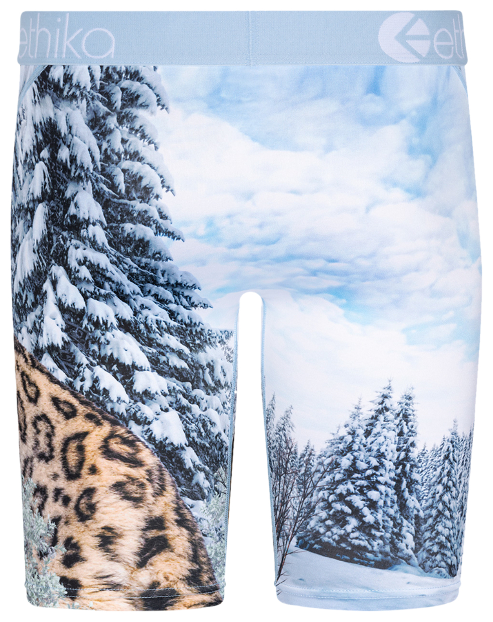 Ethika Graphic Briefs Image 2 of 3. Tap to open photo gallery.