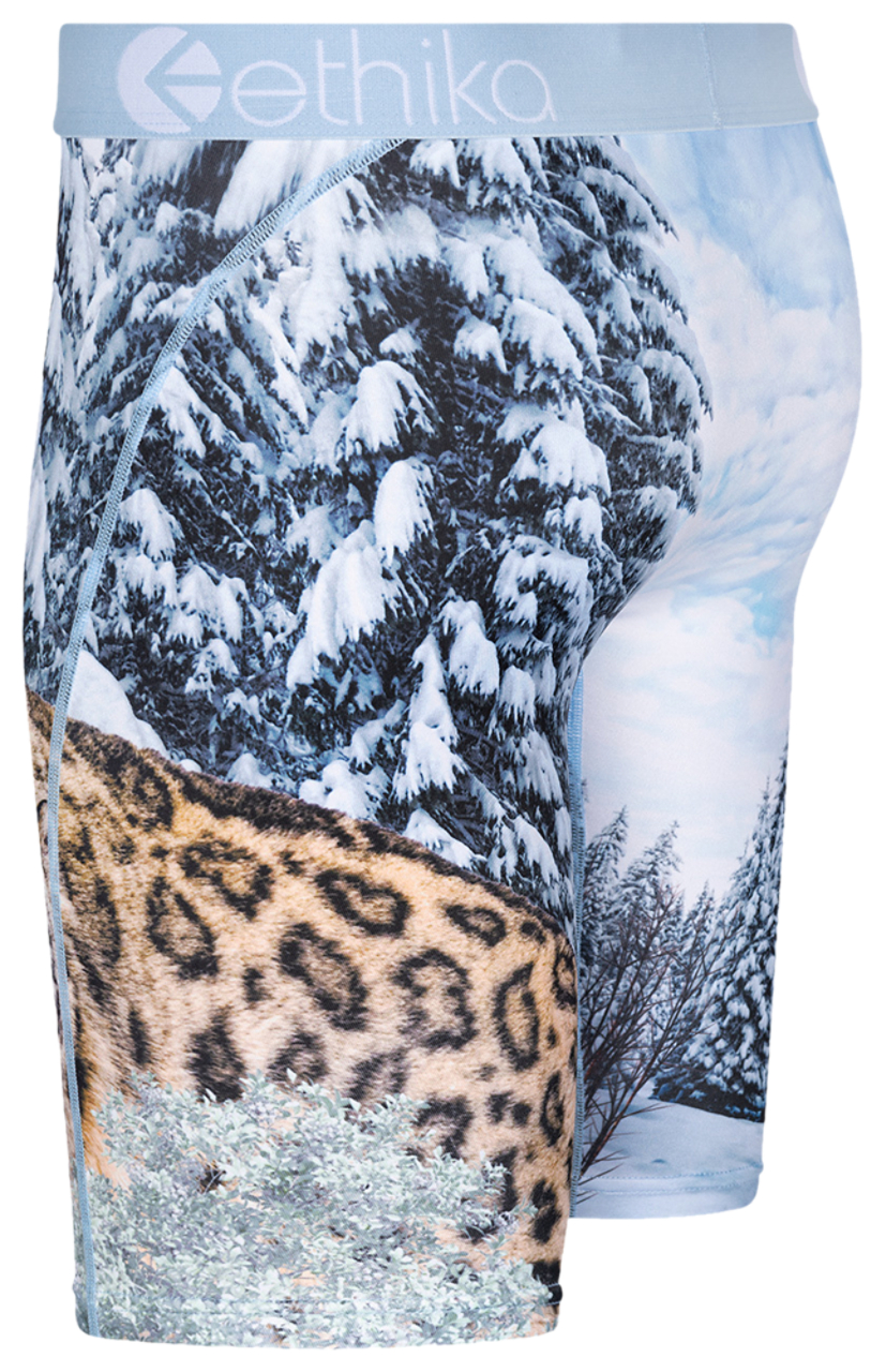 Ethika Graphic Briefs Image 3 of 3. Tap to open photo gallery.