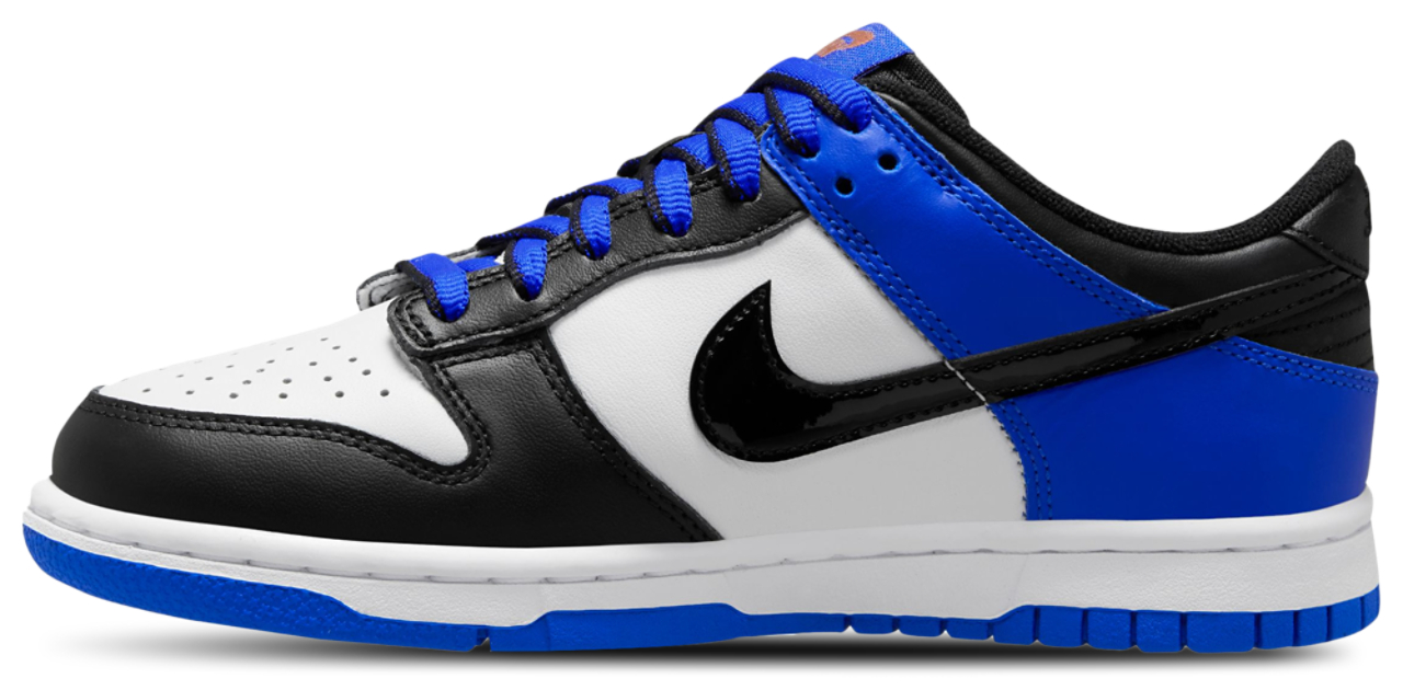 Grade School Nike Dunk Low SE