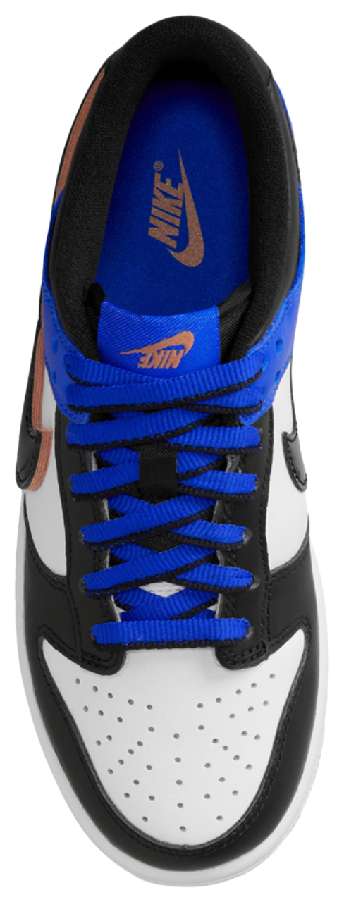 Grade School Nike Dunk Low SE