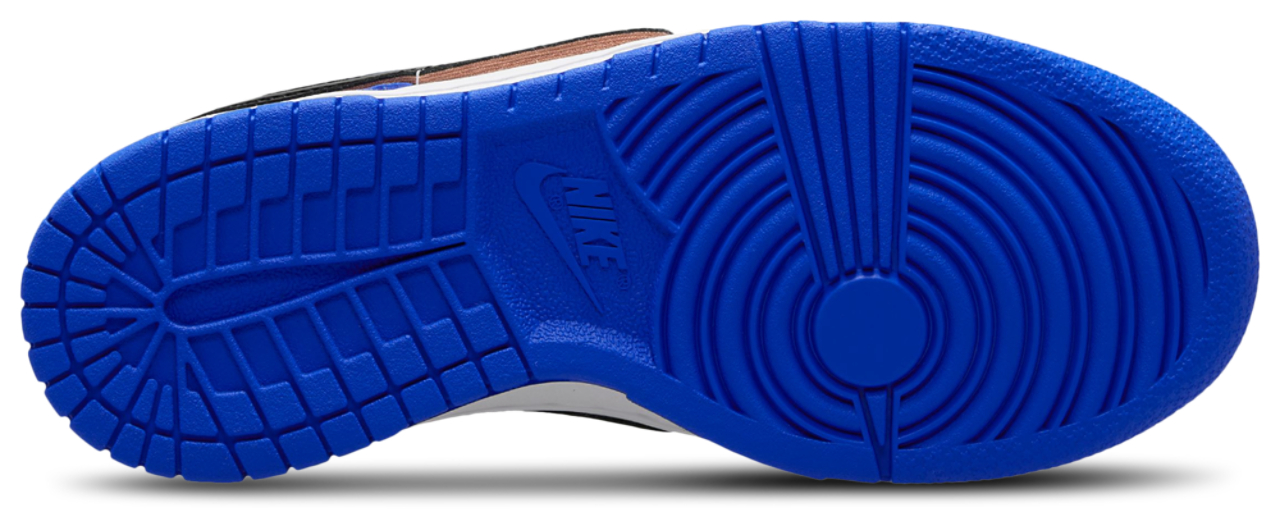 Grade School Nike Dunk Low SE