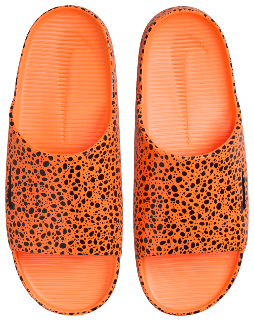 Nike Calm Slides Print NS Champs Sports