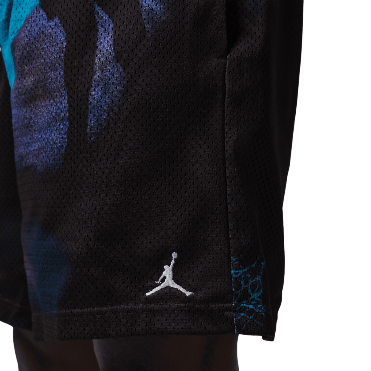 Jordan Brooklyn Mesh Dream Dunk Shorts Image 4 of 6. Tap to open photo gallery.