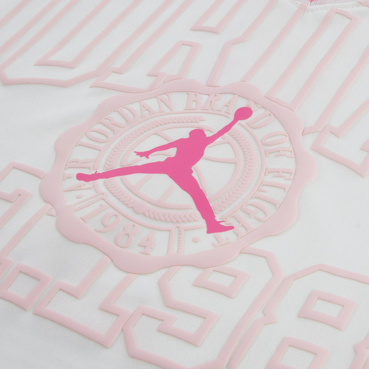 Jordan Secret Diary Cropped Jersey Image 3 of 5. Tap to open photo gallery.