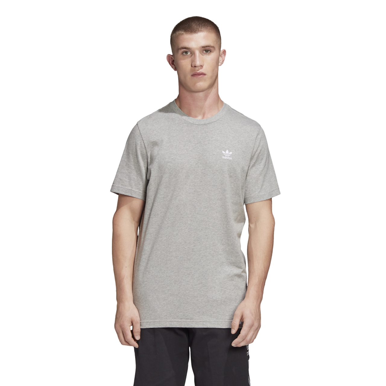 adidas Originals Adicolor Essential Trefoil T-Shirt Image 3 of 8. Tap to open photo gallery.