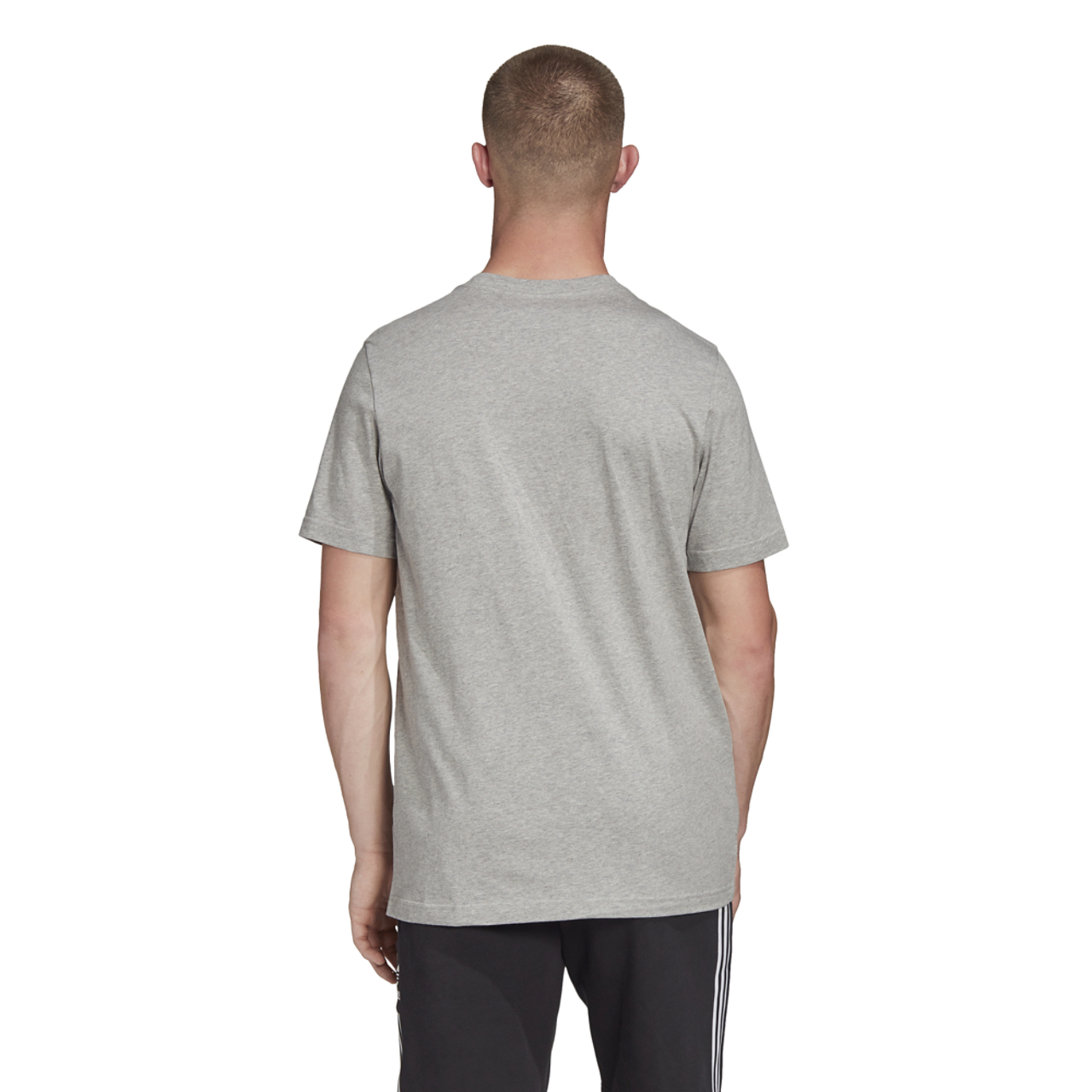adidas Originals Adicolor Essential Trefoil T-Shirt Image 4 of 8. Tap to open photo gallery.