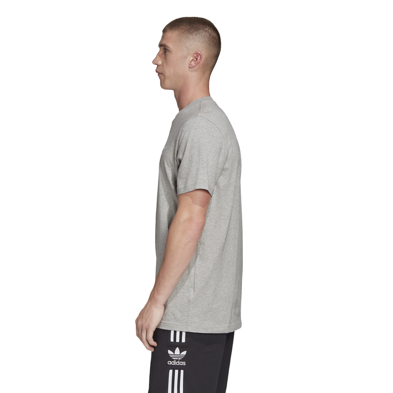 adidas Originals Adicolor Essential Trefoil T-Shirt Image 5 of 8. Tap to open photo gallery.