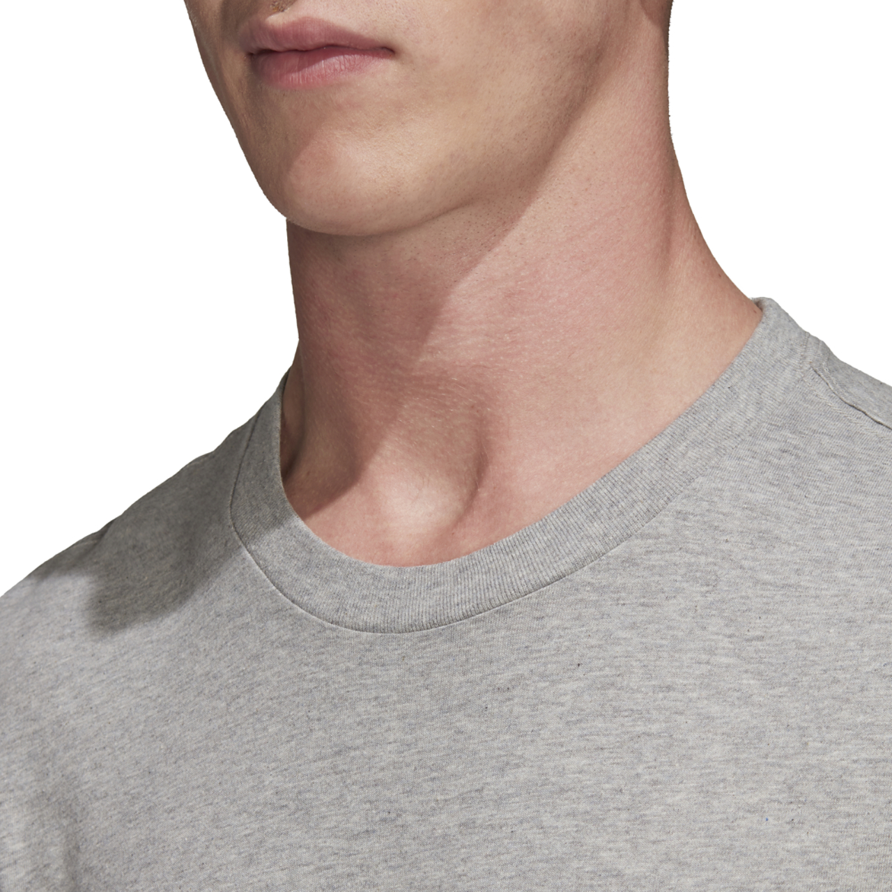 adidas Originals Adicolor Essential Trefoil T-Shirt Image 6 of 8. Tap to open photo gallery.
