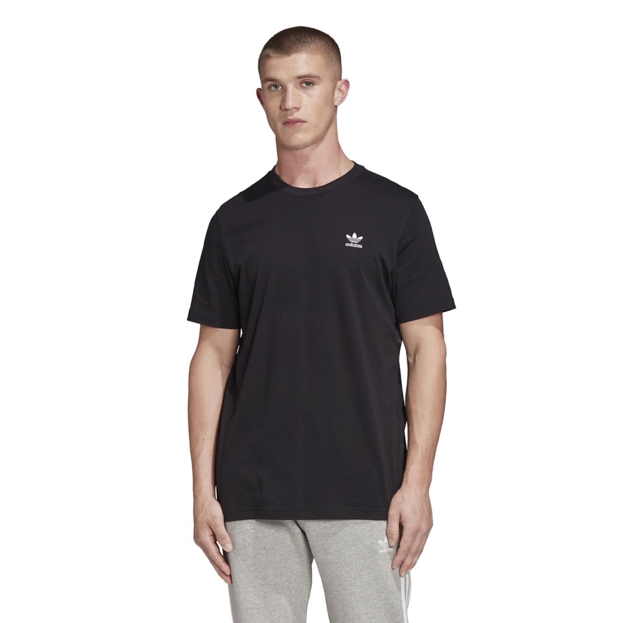adidas Originals Adicolor Essential Trefoil T-Shirt Image 3 of 8. Tap to open photo gallery.