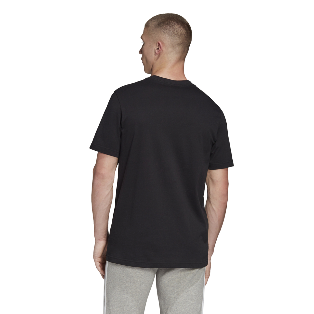 adidas Originals Adicolor Essential Trefoil T-Shirt Image 4 of 8. Tap to open photo gallery.