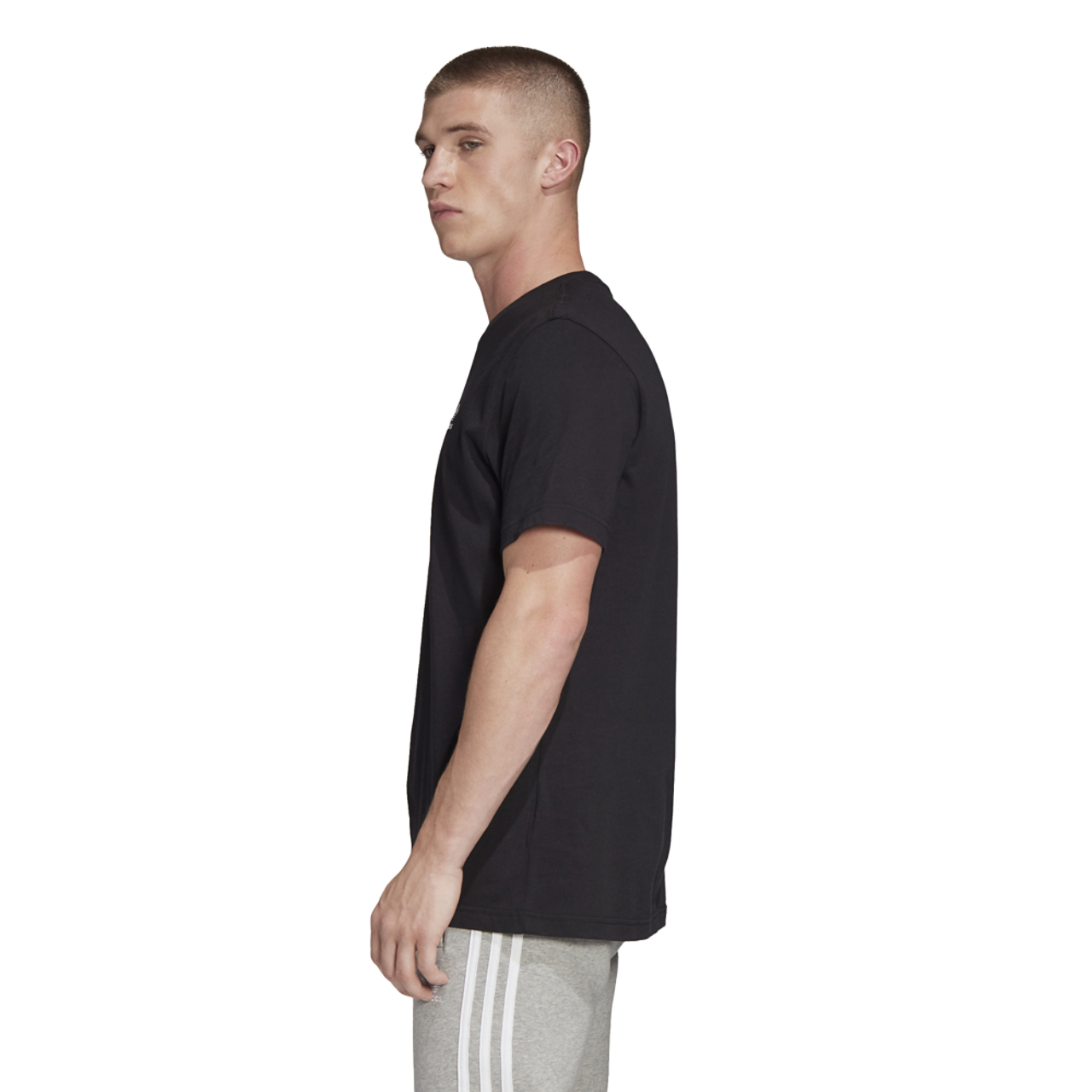 adidas Originals Adicolor Essential Trefoil T-Shirt Image 5 of 8. Tap to open photo gallery.