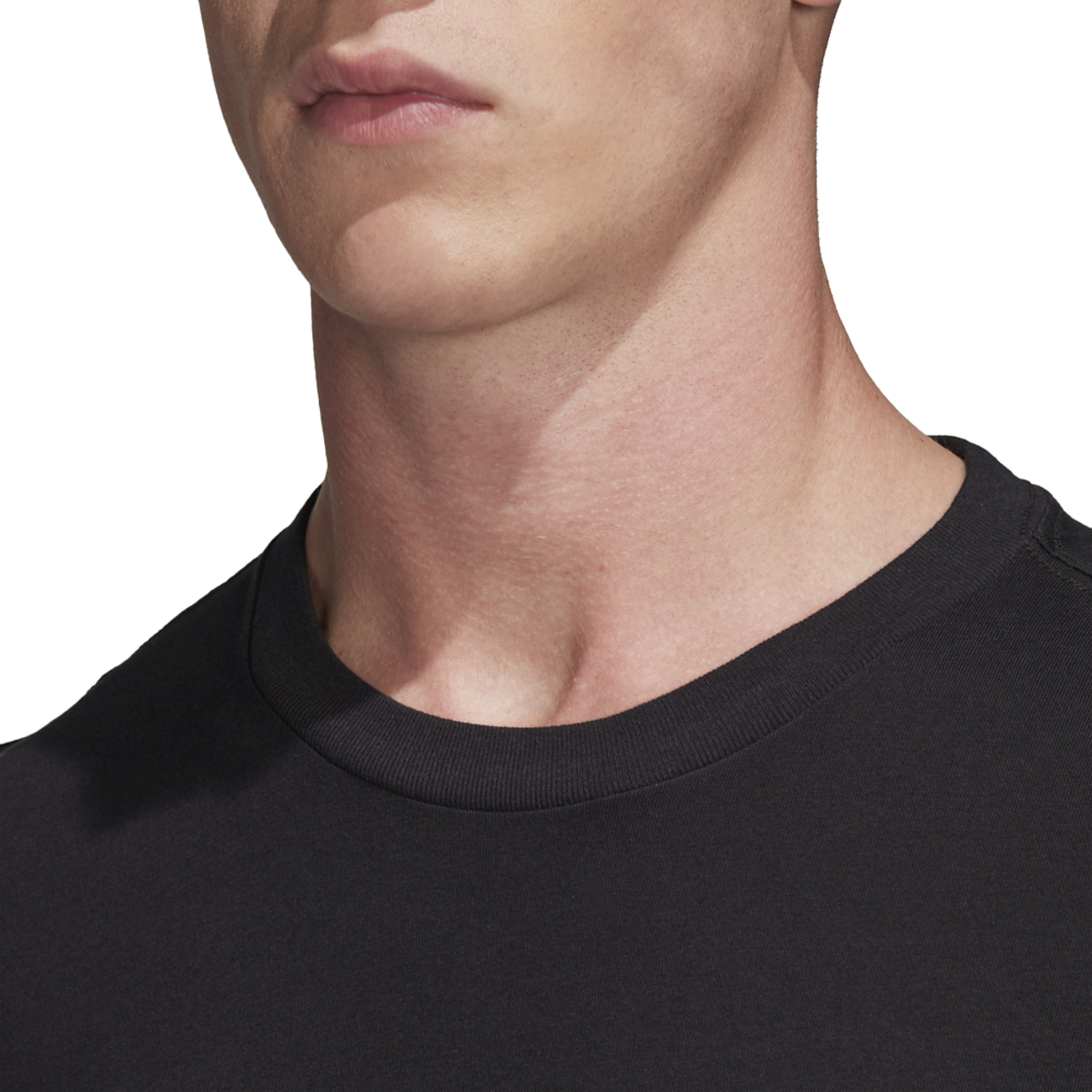 adidas Originals Adicolor Essential Trefoil T-Shirt Image 6 of 8. Tap to open photo gallery.