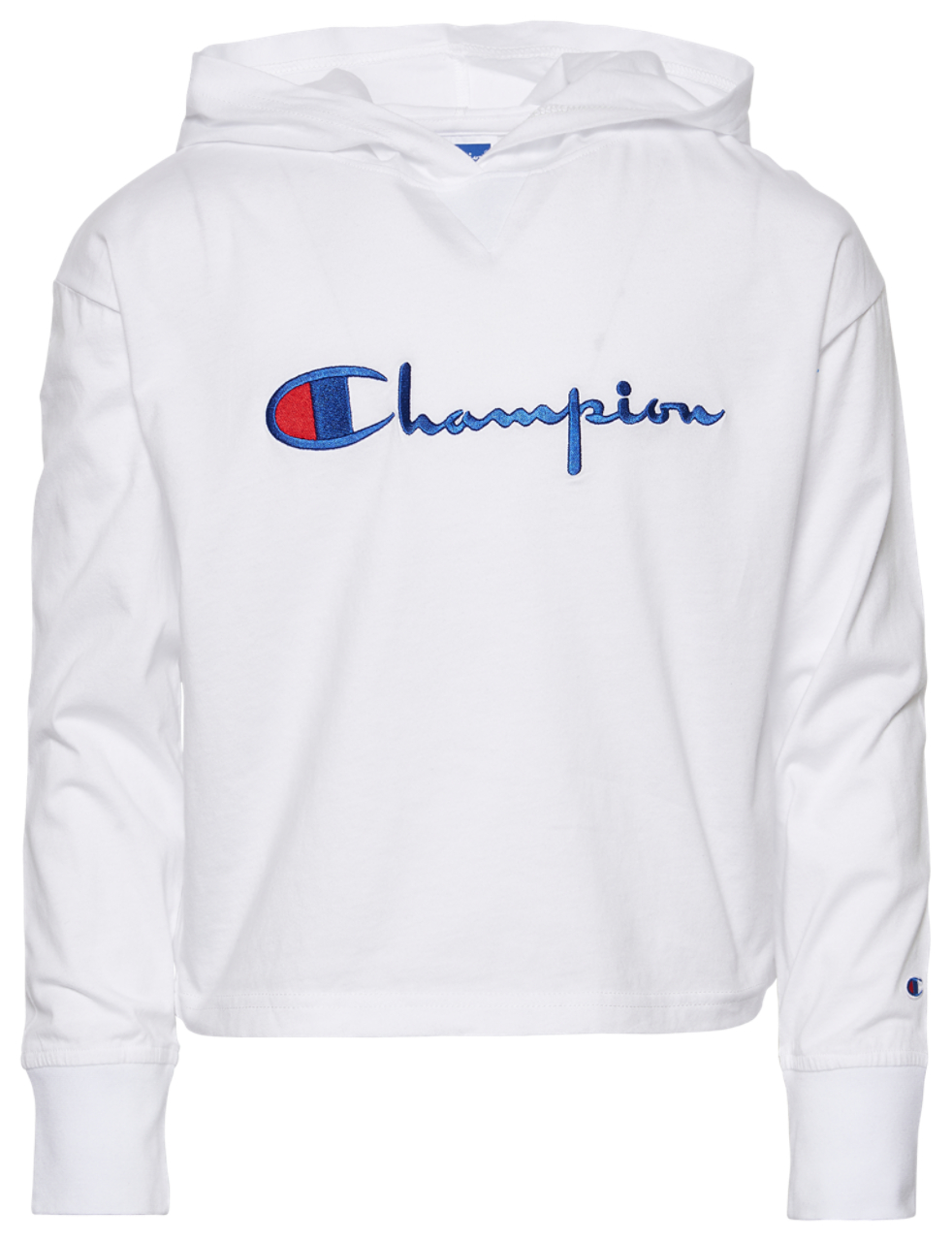 Champion Heritage Pullover Hoodie Image 1 of 2. Tap to open photo gallery.