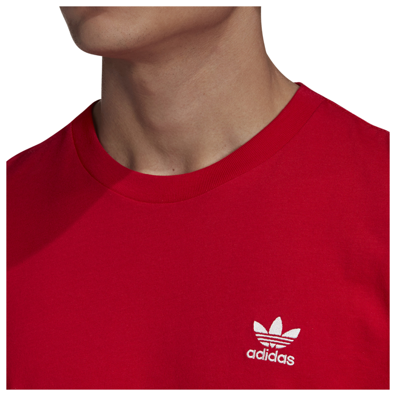 adidas Originals Adicolor Essential Trefoil T-Shirt Image 4 of 5. Tap to open photo gallery.