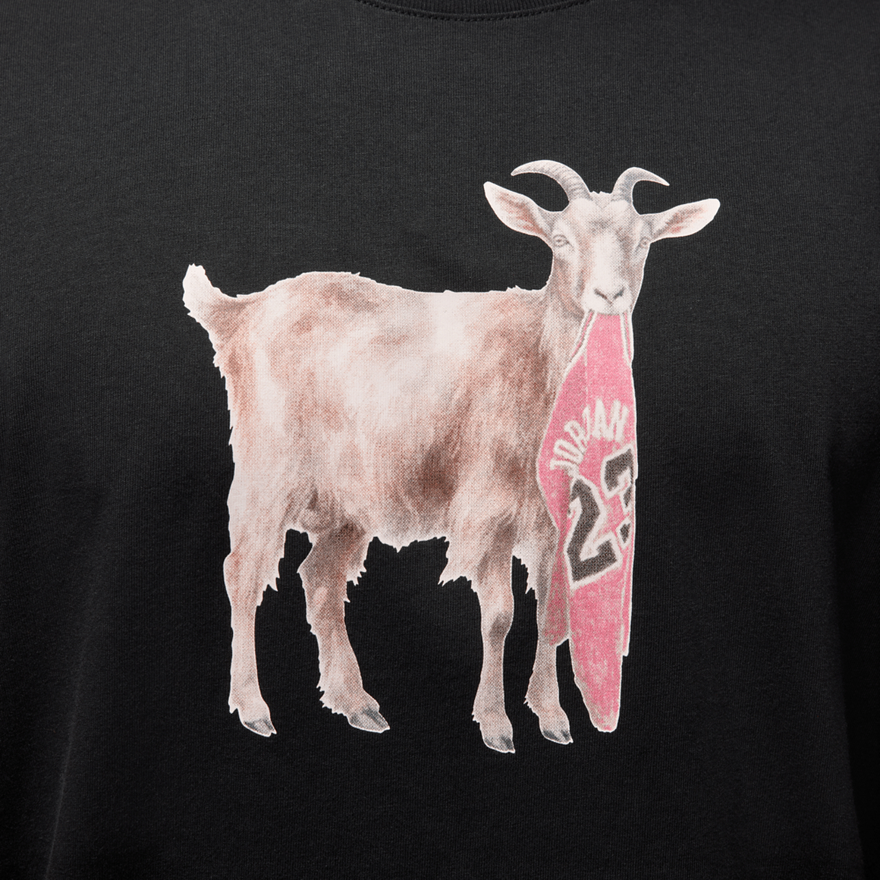 Jordan NC GOAT Short Sleeve Crew Image 4 of 6. Tap to open photo gallery.