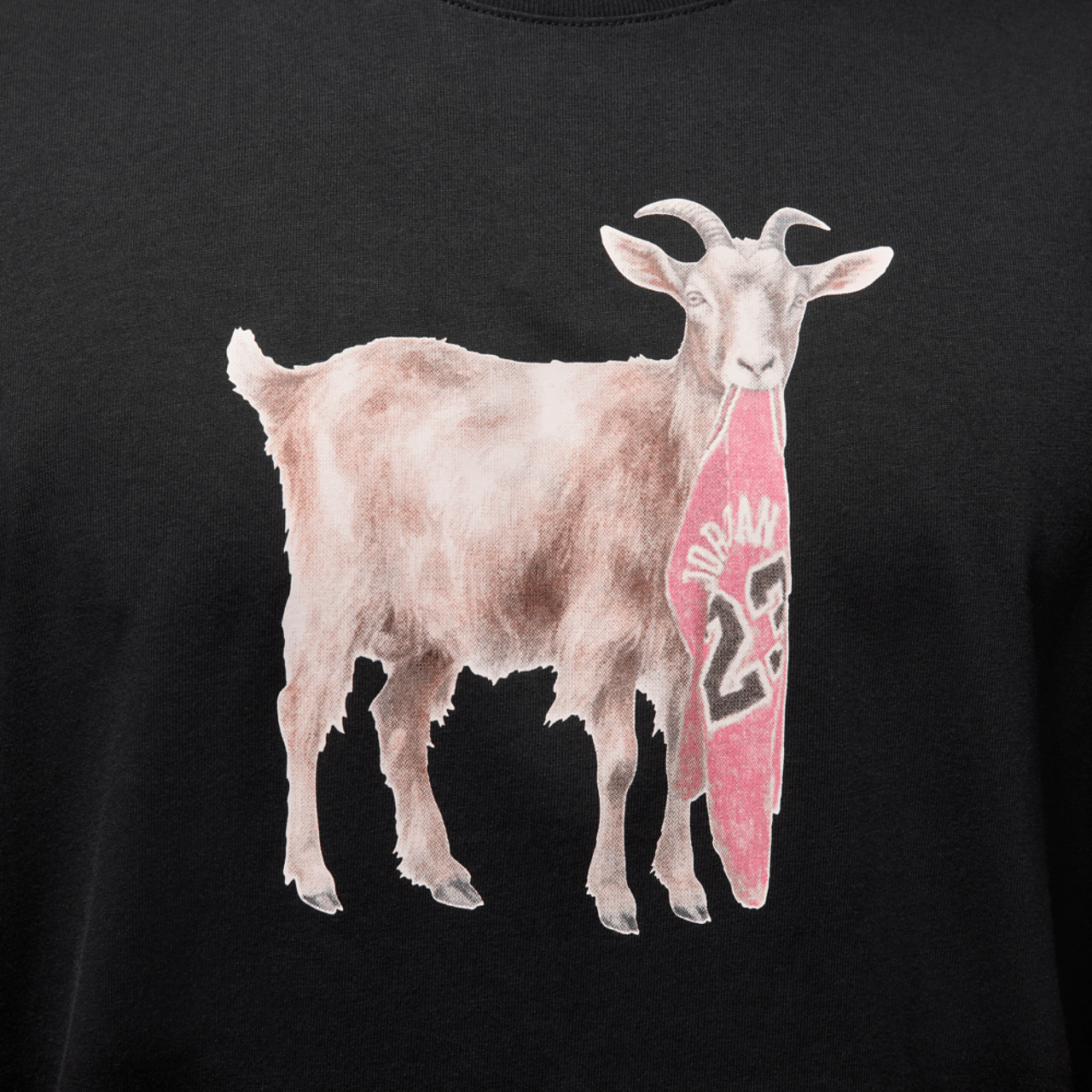 Jordan NC GOAT Short Sleeve Crew Image 4 of 6. Tap to open photo gallery.