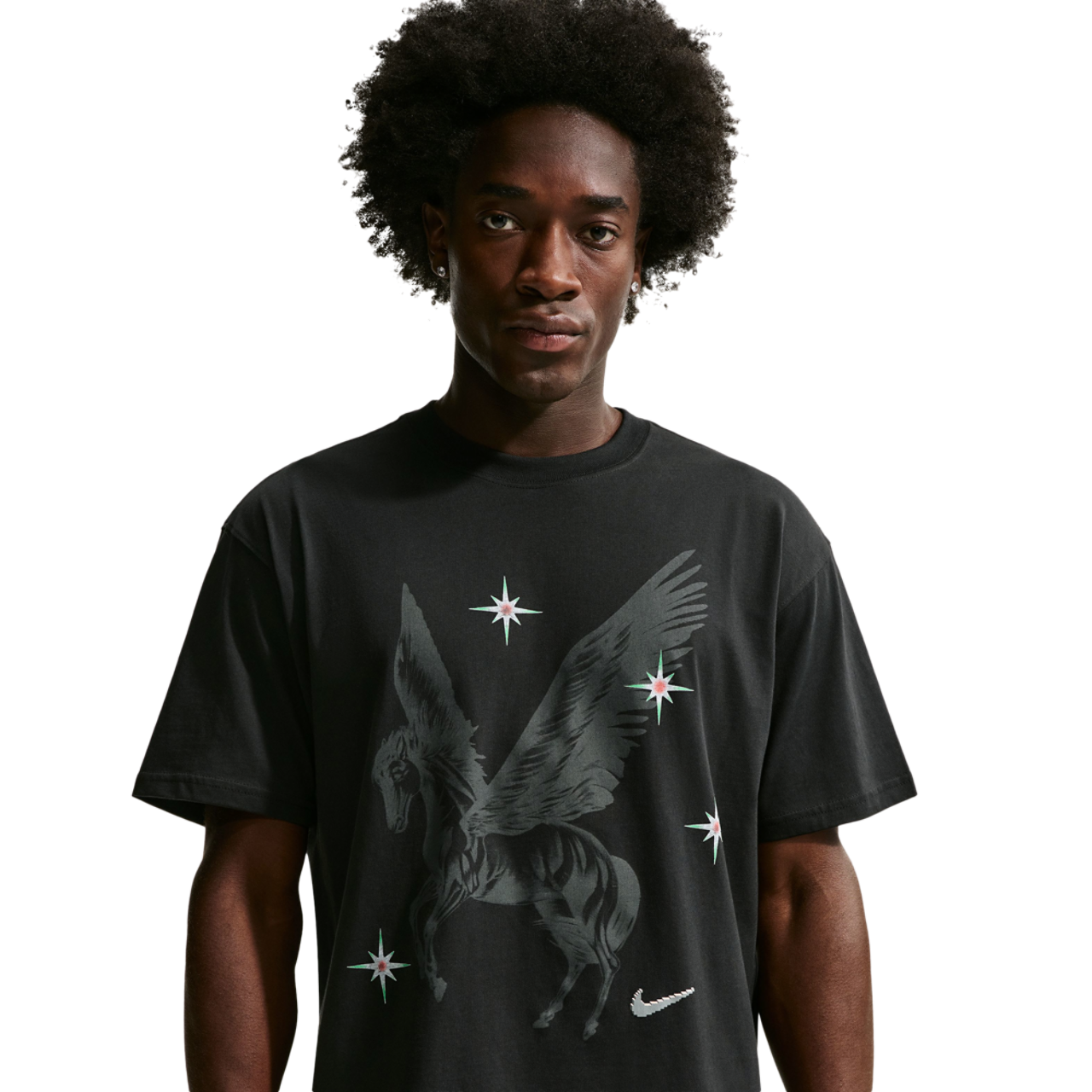 Nike LA Artist Pegasus T-Shirt Image 1 of 3. Tap to open photo gallery.