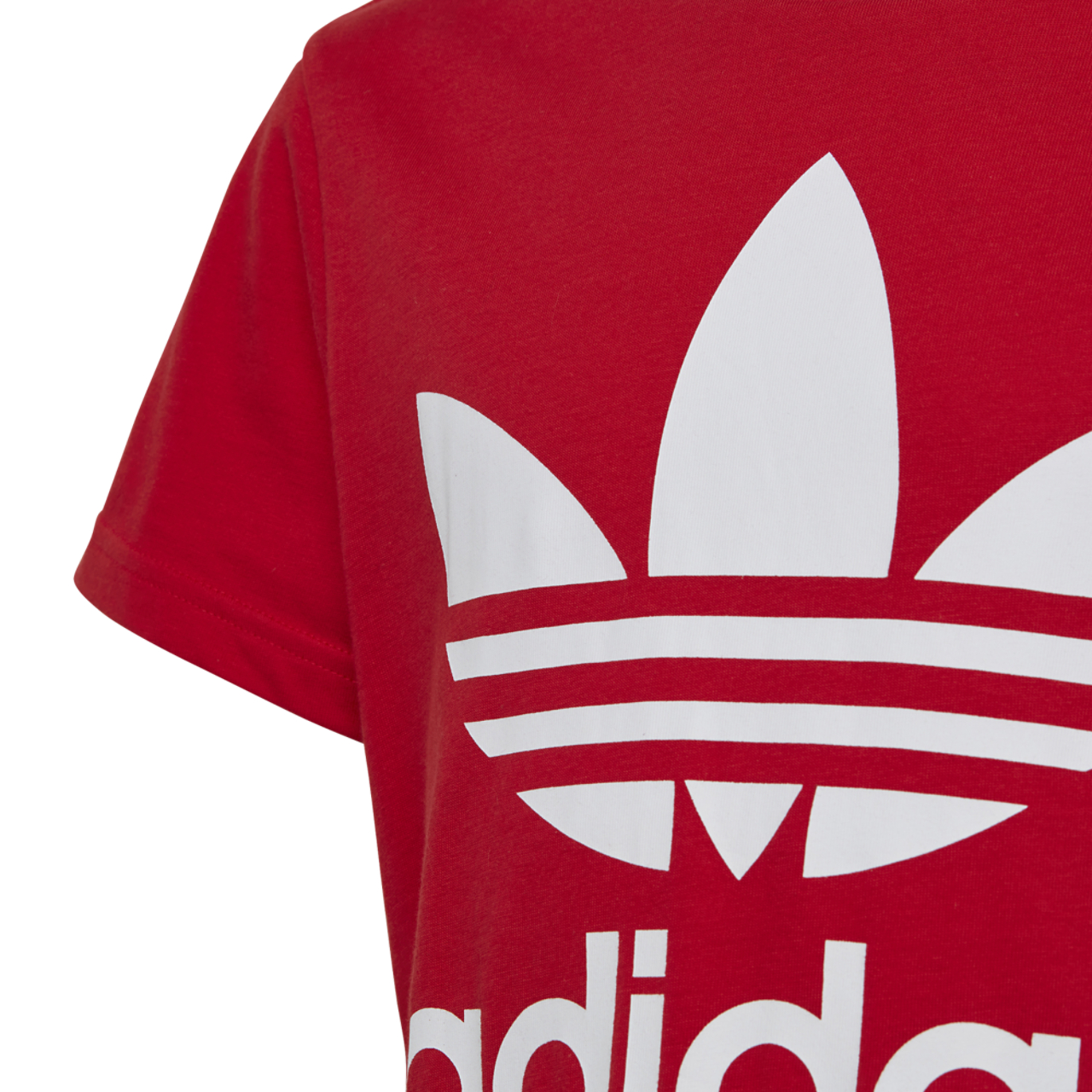 adidas Originals Trefoil T-Shirt Image 4 of 6. Tap to open photo gallery.