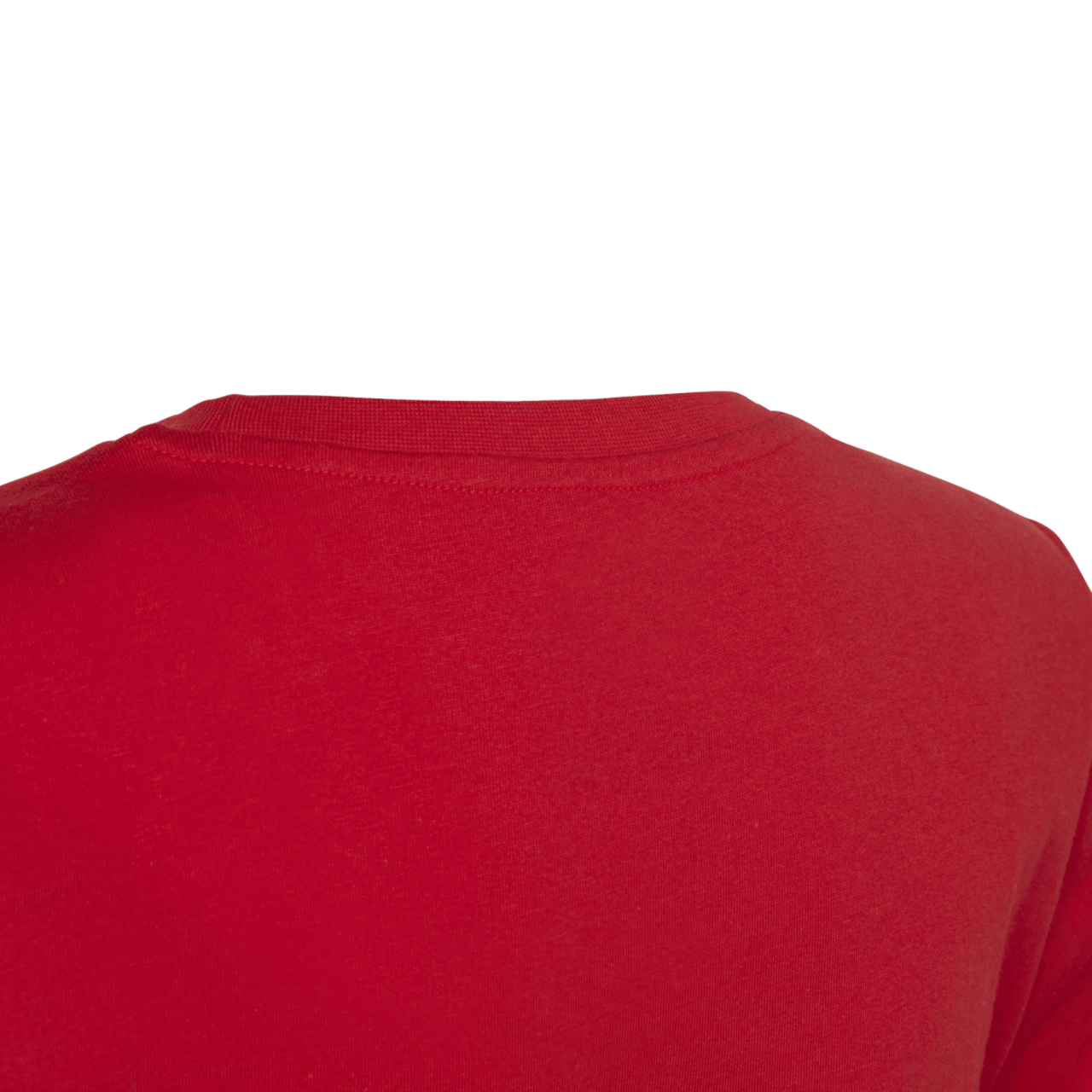 adidas Originals Trefoil T-Shirt Image 6 of 6. Tap to open photo gallery.