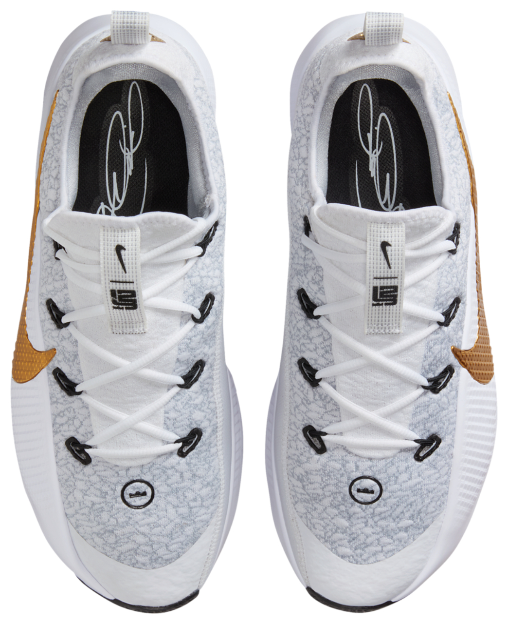 Nike Lebron TR 1 | Foot Locker