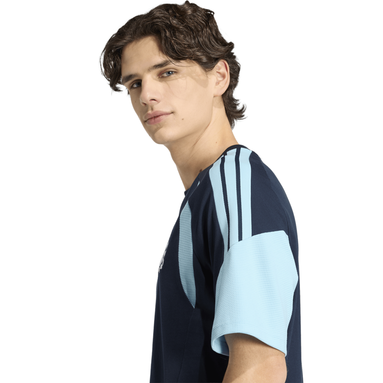 adidas Argentina 26 Tiro Sweat Tee Image 6 of 7. Tap to open photo gallery.