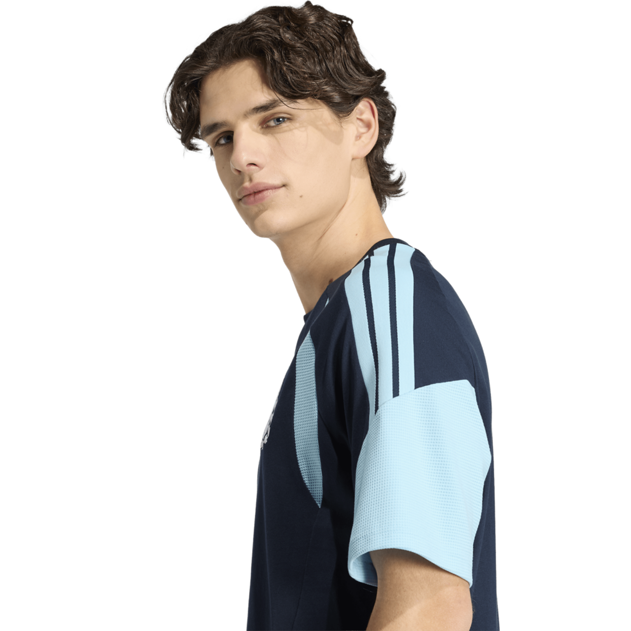 adidas Argentina 26 Tiro Sweat Tee Image 6 of 7. Tap to open photo gallery.