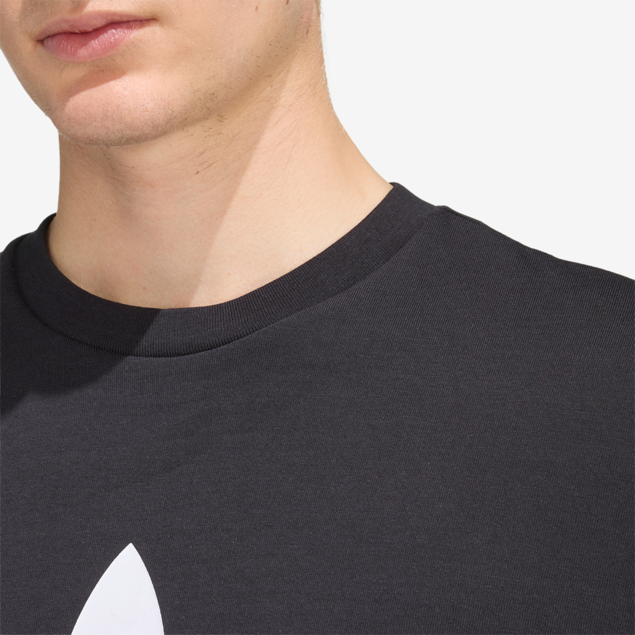 adidas Originals adicolor Trefoil T-Shirt Image 5 of 7. Tap to open photo gallery.