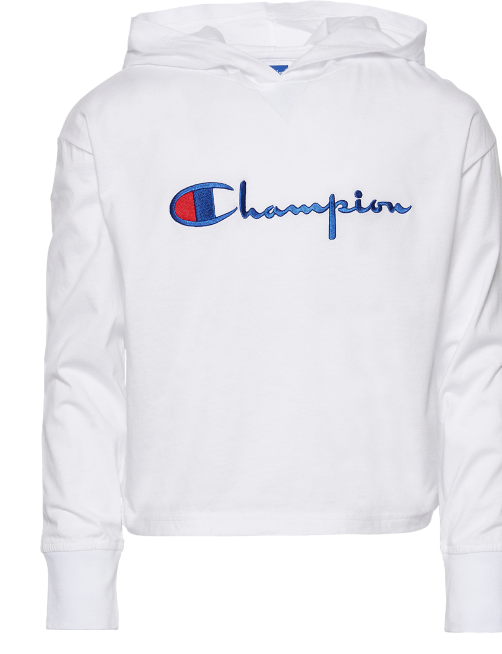 Champion Heritage Pullover Hoodie Image 1 of 2. Tap to open photo gallery.