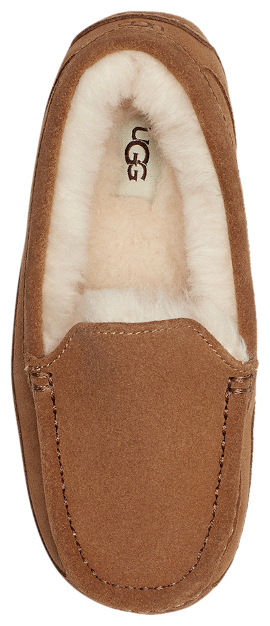 UGG Ascot Image 4 of 5. Tap to open photo gallery.