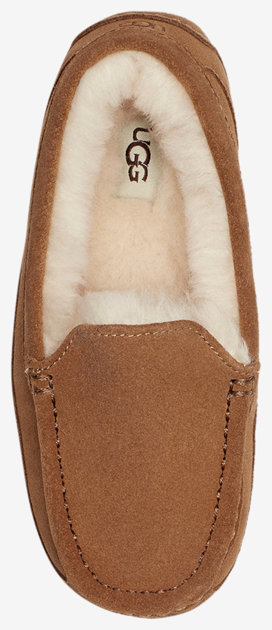 UGG Ascot Image 4 of 5. Tap to open photo gallery.
