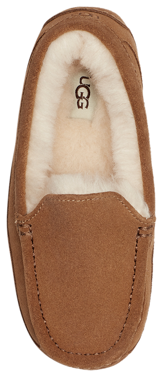 UGG Ascot Image 4 of 5. Tap to open photo gallery.