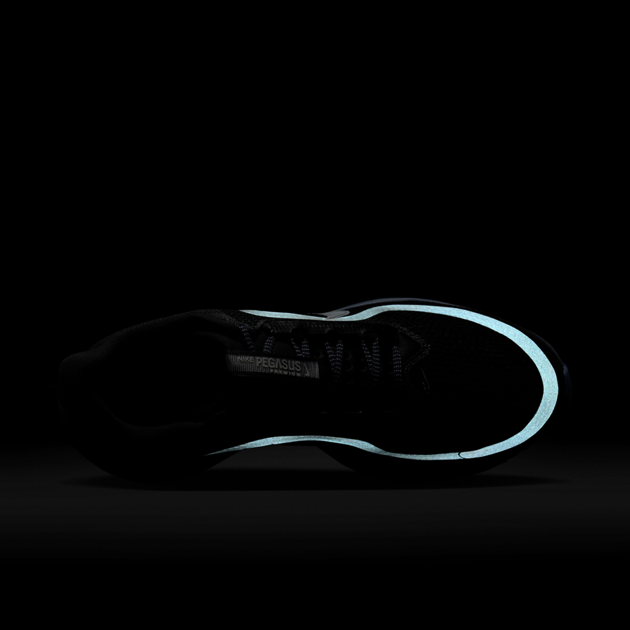 Nike Pegasus Premium Image 8 of 8. Tap to open photo gallery.