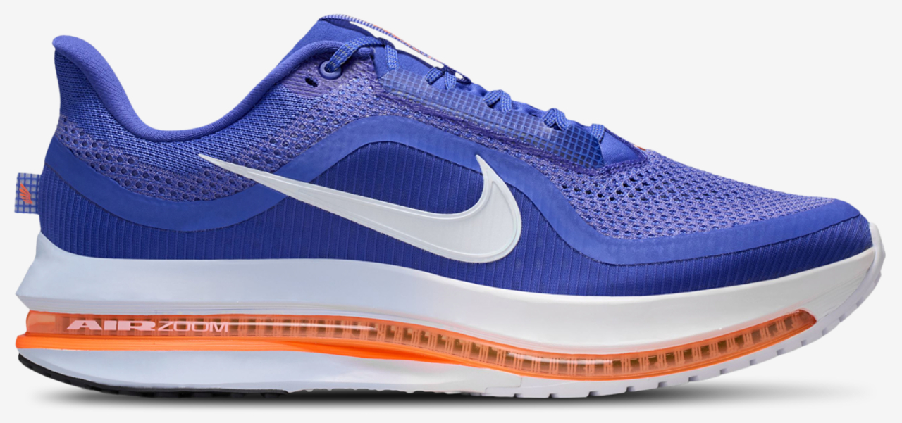 Nike Pegasus Premium - Men's | Foot Locker