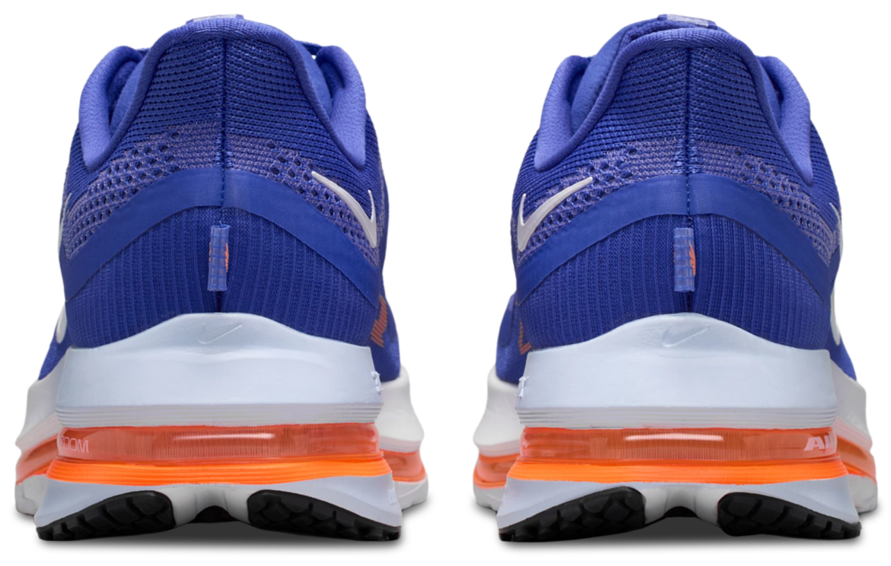 Nike Pegasus Premium - Men's | Foot Locker