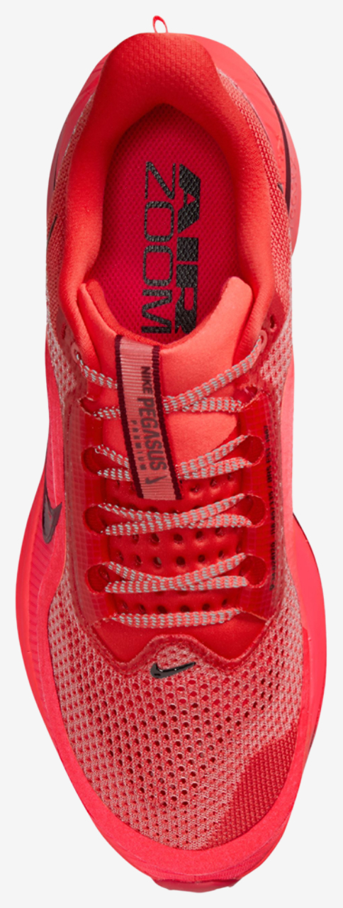 Nike Pegasus Premium Image 3 of 4. Tap to open photo gallery.