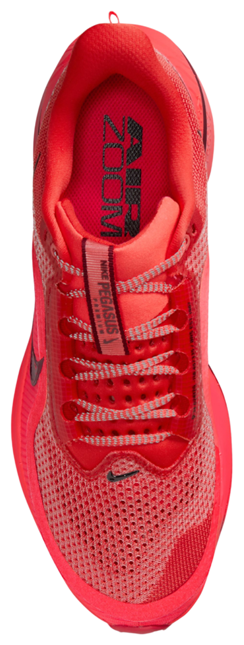 Nike Pegasus Premium - Men's | Foot Locker