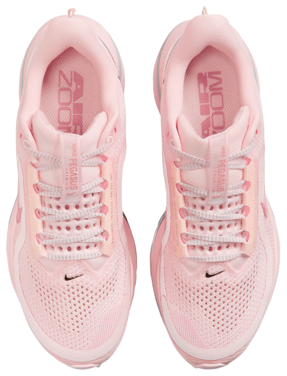 Nike Pegasus Premium Foot Locker