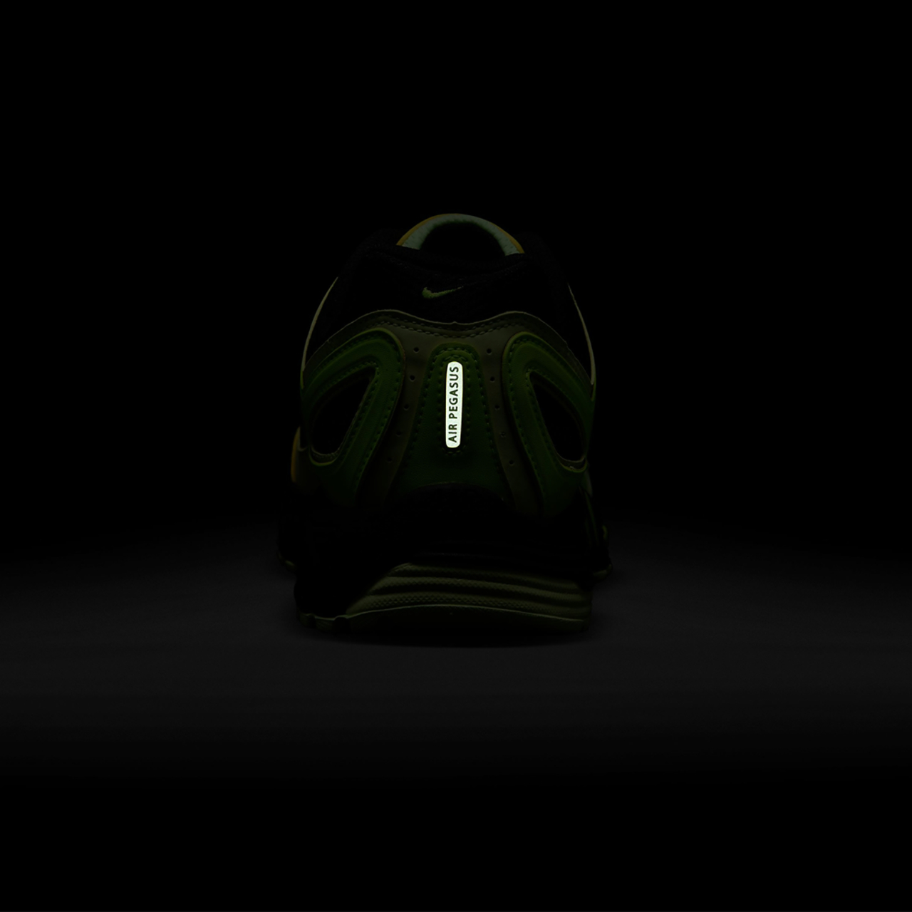 Nike Air Pegasus 2005 Image 7 of 9. Tap to open photo gallery.