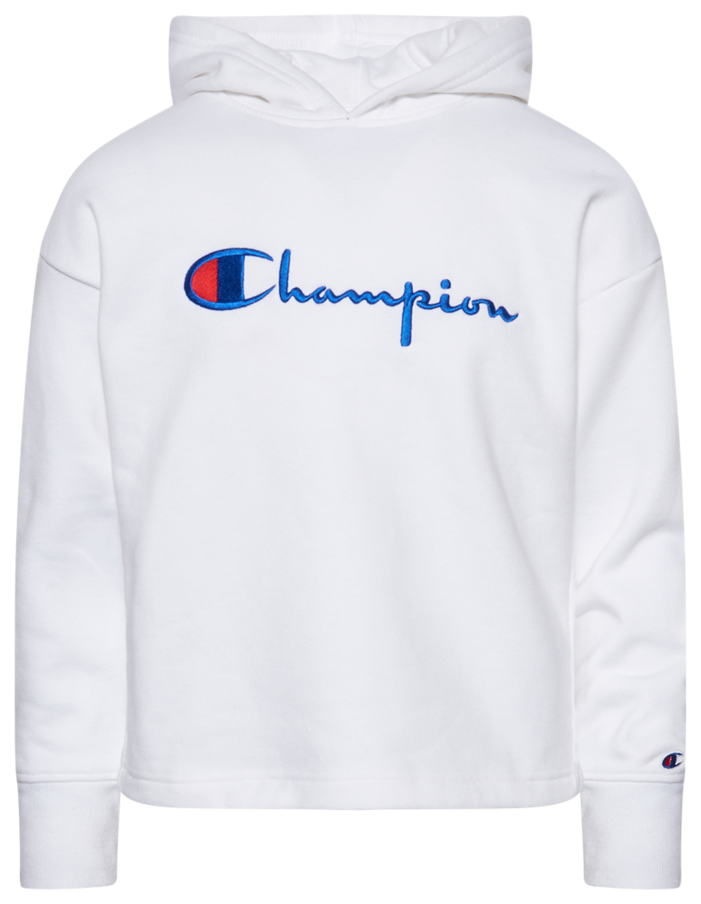Champion Premium Fleece Hoodie Image 1 of 2. Tap to open photo gallery.
