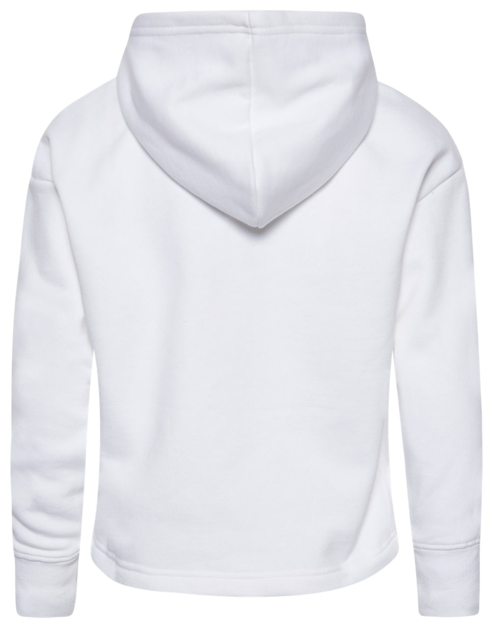 Champion Premium Fleece Hoodie Image 2 of 2. Tap to open photo gallery.