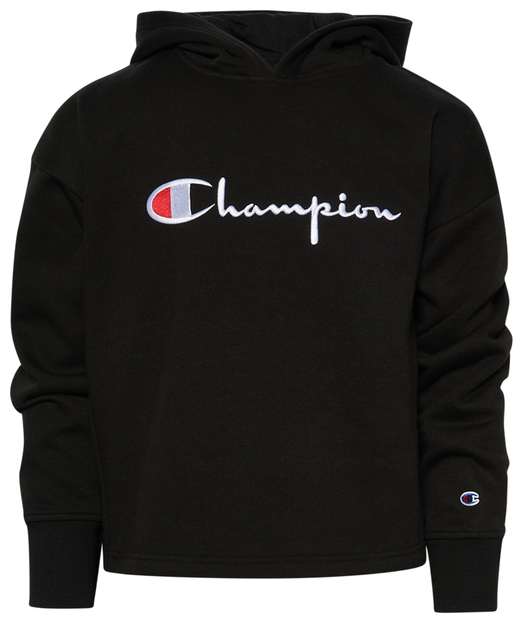 Champion Premium Fleece Hoodie Image 1 of 2. Tap to open photo gallery.