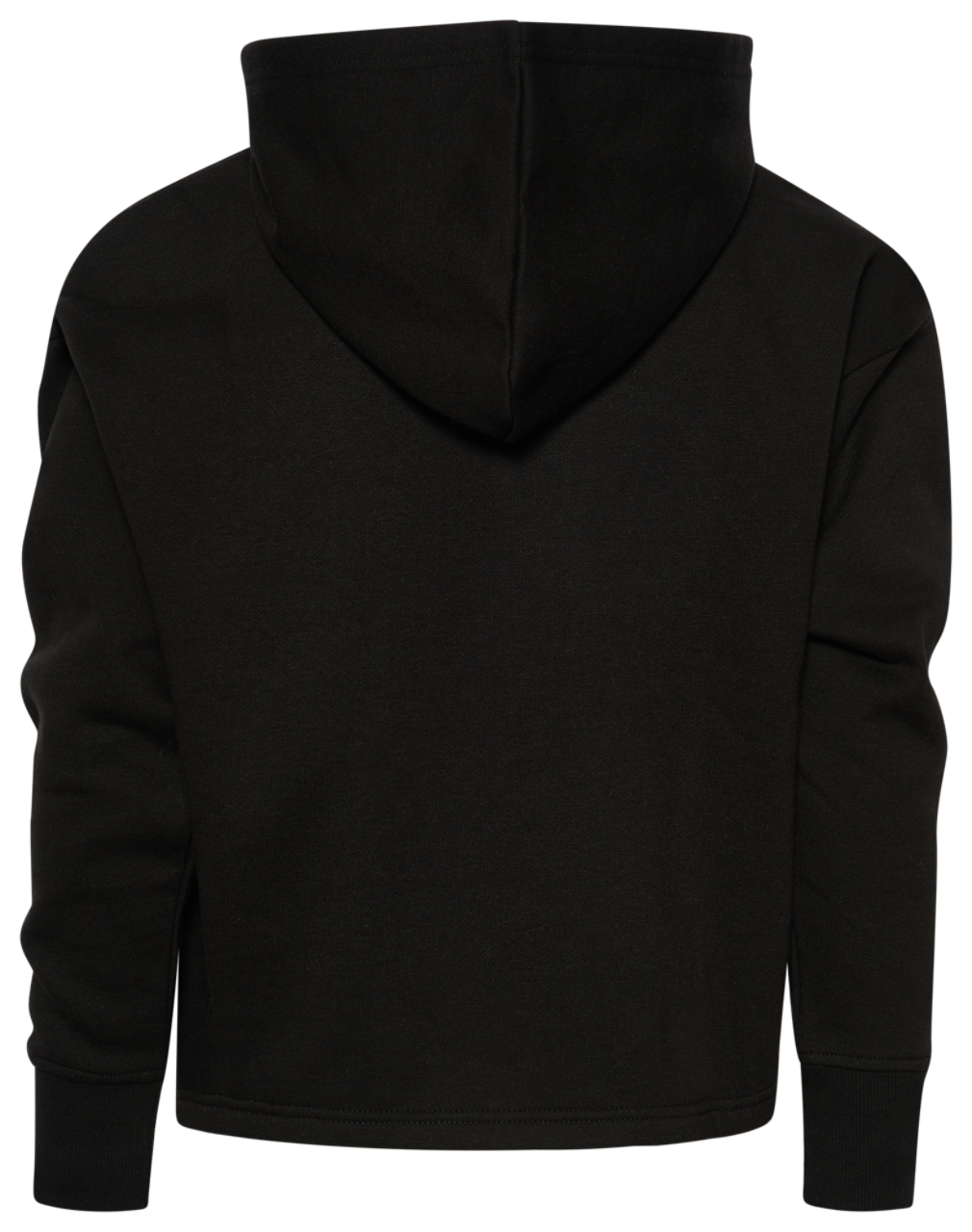 Champion Premium Fleece Hoodie Image 2 of 2. Tap to open photo gallery.