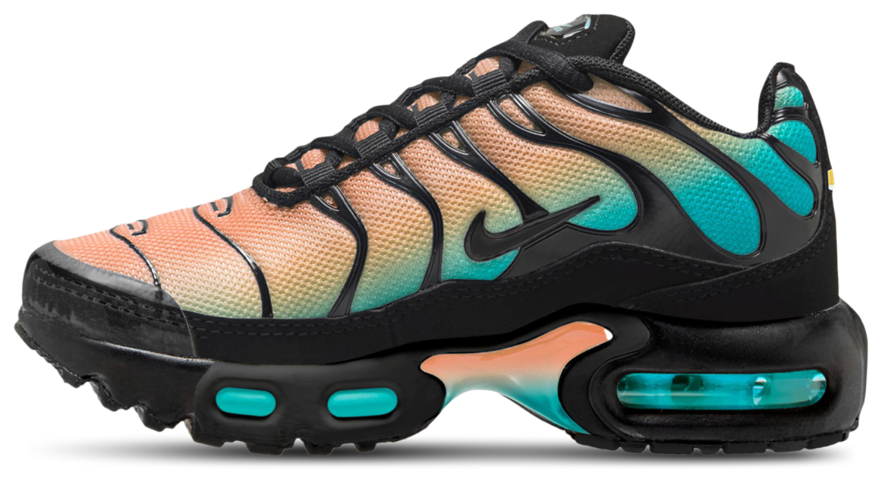 Nike Air Max Plus | Foot Locker